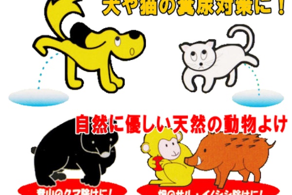 害獣 野良猫の駆除方法 住宅まとめ２ｃｈ
