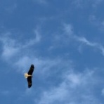 不登校365日24時間　フリースクール元気学園 ブログ