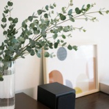 『部屋に飾るユーカリの枝はかわいくて高コスパ！』の画像