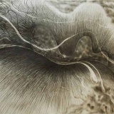 小学生「なんでモノは下に落ちるの？」←どう答える？