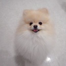 今日の幼稚園の様子【青色の教室】🐳