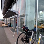 トリと自転車と私