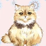 猫の練習などしました