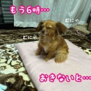 無理しなくていいんだよ