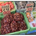 1万500円で大満喫【HISバスツアー②】吹割の滝より夢中⁉︎ 激安野菜とソフトクリーム