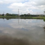 市原市に憲法と地方自治を活かす会