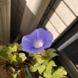 『やっていて苦にならないこと vol.4155』の画像