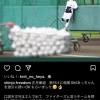 日ハム新庄ビッグボス、格付け出演報告「ファイターズを覚えてもらい応援してもらうチャンス」