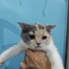 ���ˤʤ볫�֤ȥޥ��������åפΤ���