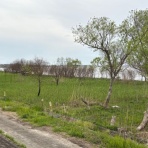 熱血！　幸運児