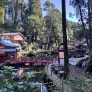 そうめんをご馳走に変える、唐船峡の水のチカラ〜指宿　唐船峡そうめん流し〜