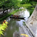 八幡堀巡り