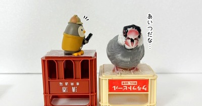 探偵フクロウ、報酬は必須です