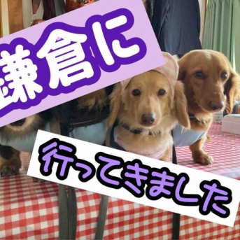 いざ鎌倉ボーダーフェスに。