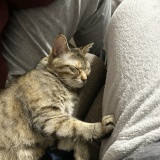 活用してもらえてうれしい