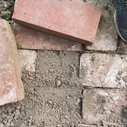 ������ʢ��Ω��