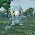 セビエのコミュニティデイ