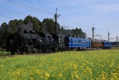 『2026/5/2運転 東武鉄道SL大樹7～8号』の画像
