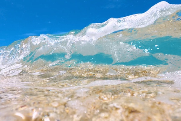 癒しの動画作家 えびこのブログ