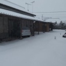 今日は、選挙、大雪