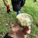 海外牧場のしぼりめし。