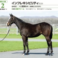 24年産新加入戦力①インフレキシビリティ24【25募集】