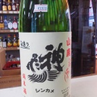 �ؿ��������ѤҤ䤪�������Ƽ�٤β���