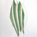 20110921