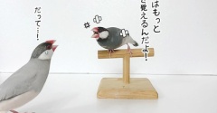 勢いよくフレームインしてきた