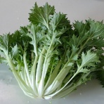 Heyモーの家庭菜園を楽しむ