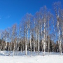 ５歳の男子と２６歳の息子がスマホで