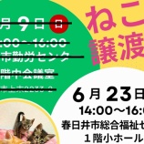 『『猫の譲渡会』が6/23(日)14:00～16:00で開催。会場は総合福祉センター（春日井市浅山町）』の画像