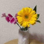 ひろこのひとりごと