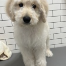 今週も可愛いがたくさん☆彡