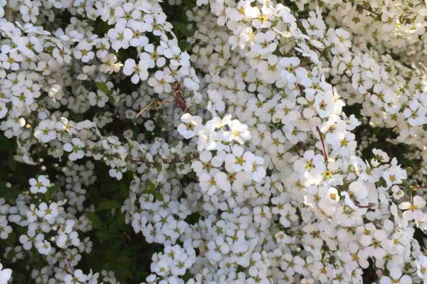 小島てつを 人生が見えるから俳句 時々短歌 は面白い ブログ版 俳句 リラクゼーション