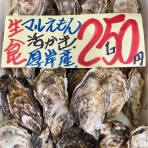 爆安！！ 鮮魚•青果販売 爆安の殿堂 道産魚工房   【どさんここうぼう】札幌市北区北24条西17丁目3-3 新川通沿い。