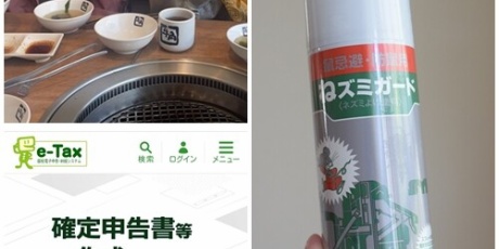 実家のネズミ対策】「ねズミガード」は効果ある？スプレー後の結果＆e