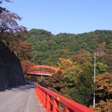 『高津戸峡』の画像