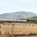 10月3日撮影　383系　ミニ「しなの83号」と、中央東線を検測するE491系East　i-E