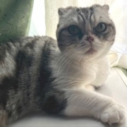 3匹を連れて獣医さんから帰る時に天気が急変