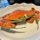 がんサバイバー②
