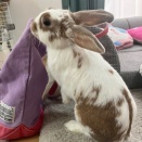 ホントのおうち見ぃつけたっ♪