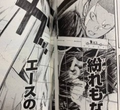 ノルマンディー25年産1次募集3番～7番(500口募集馬)