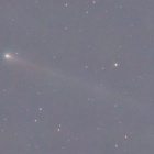 『薄明中のマックノート彗星（220P） ☆彡』の画像