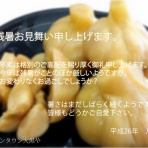 キムチ・冷麺・ケジャン通販、お取り寄せならコリアンタウン・大黒や