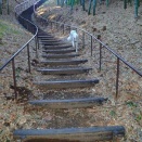 何とか花を咲かせて欲しいです