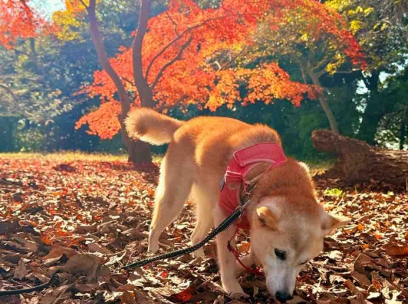 イベントのあと、心も体もひとやすみ 
