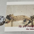写真展「パレスチナと猫」