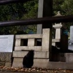 怖い怖い怖い怖い助けて