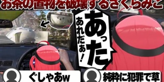 【ホロライブ】お茶の置物を破壊するみこち
